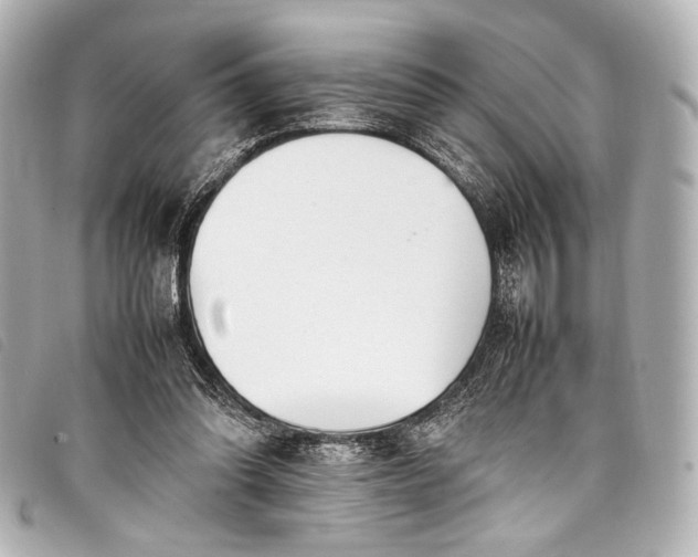 X0000098080302200804181206