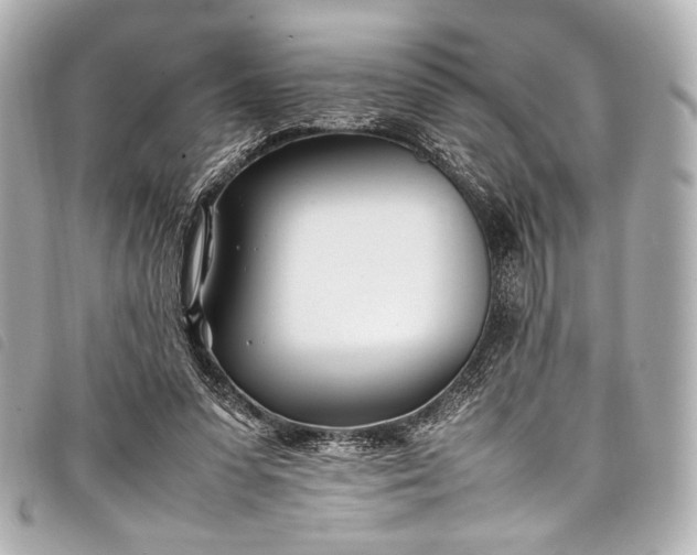 X0000098080303200804181205