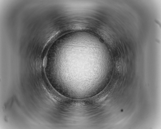 X0000098080304200804181205