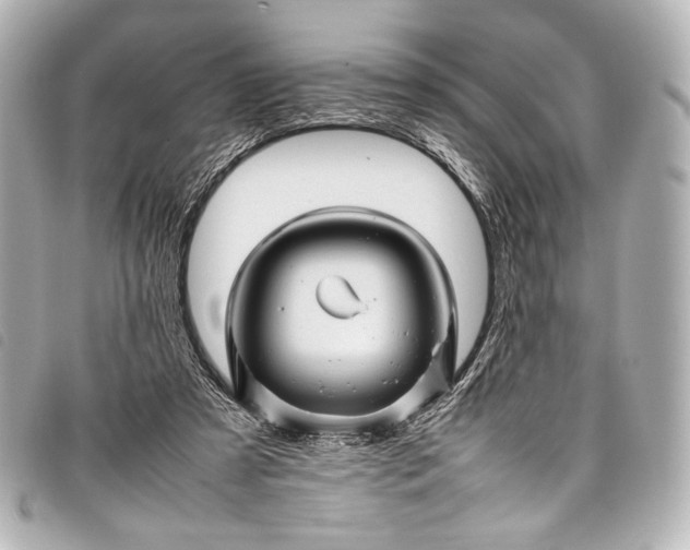 X0000098080305200804181205