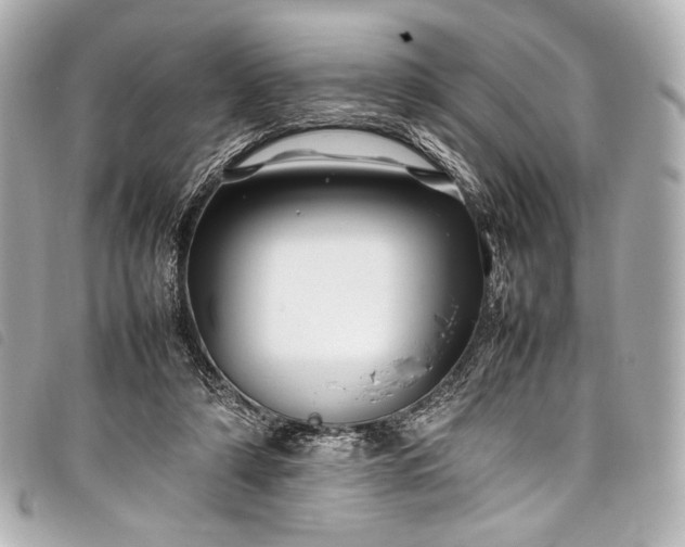 X0000098080306200804181205