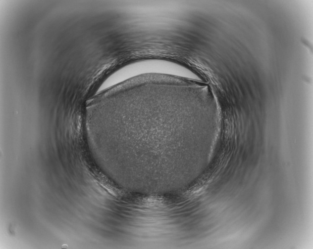 X0000098080308200804181205