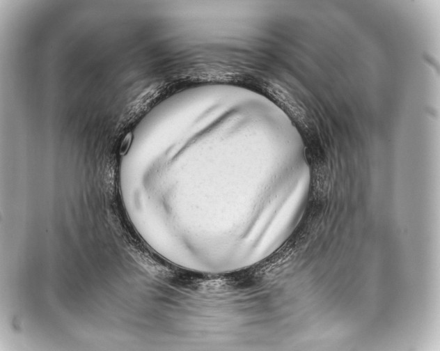 X0000098080309200804181205