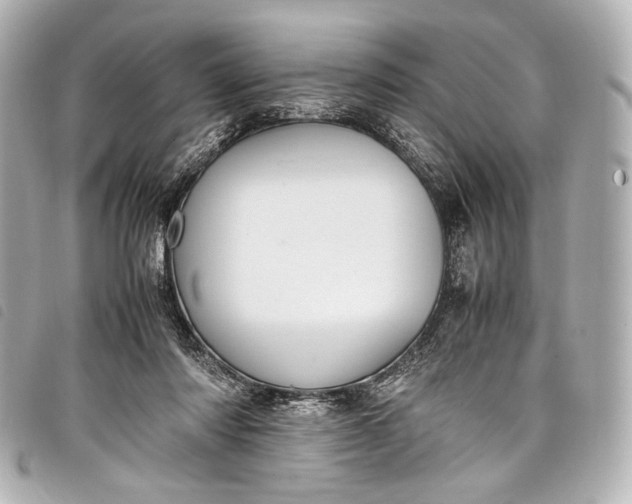 X0000098080310200804181205