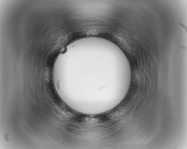 X0000098080311200804181205