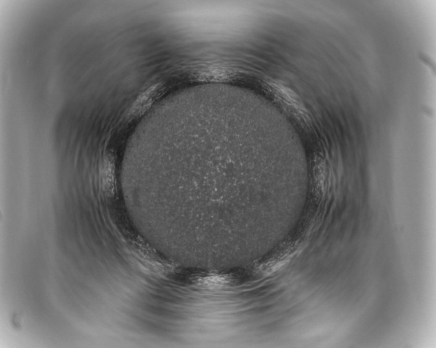 X0000098080312200804181205