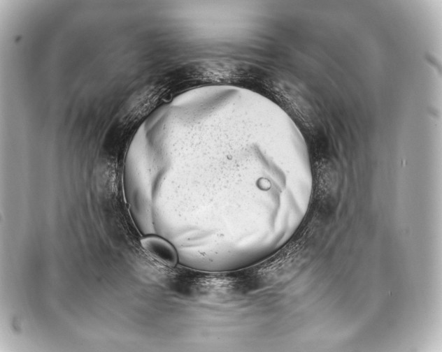 X0000098080313200804181205