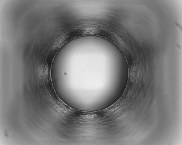 X0000098080314200804181205