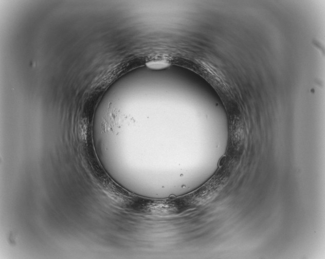 X0000098080315200804181205