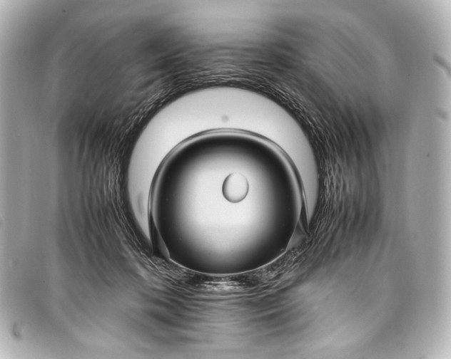 X0000098080316200804181205