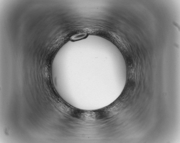 X0000098080317200804181205