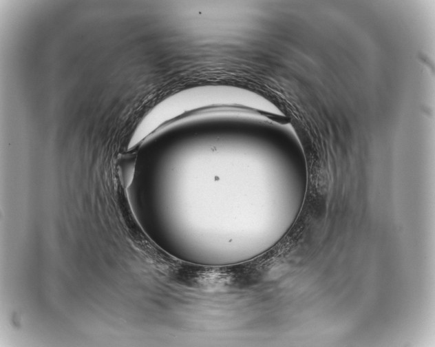 X0000098080319200804181205