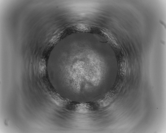 X0000098080320200804181205