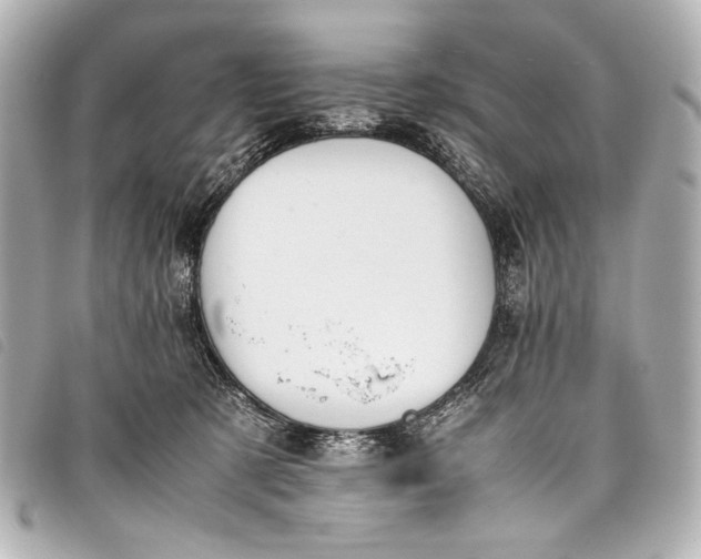 X0000098080321200804181205