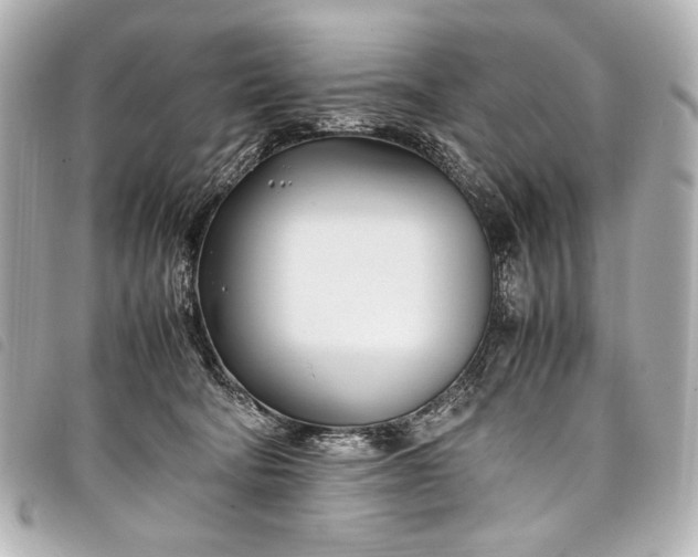 X0000098080322200804181205