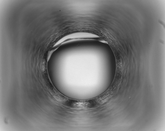 X0000098080323200804181205