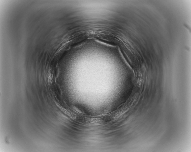 X0000098080324200804181205