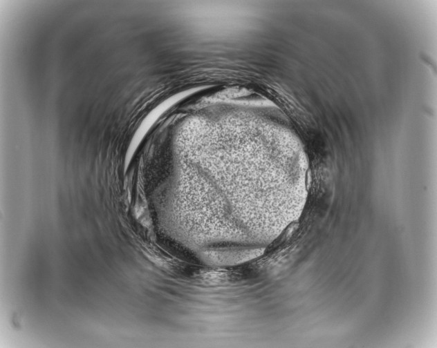 X0000098080325200804181205