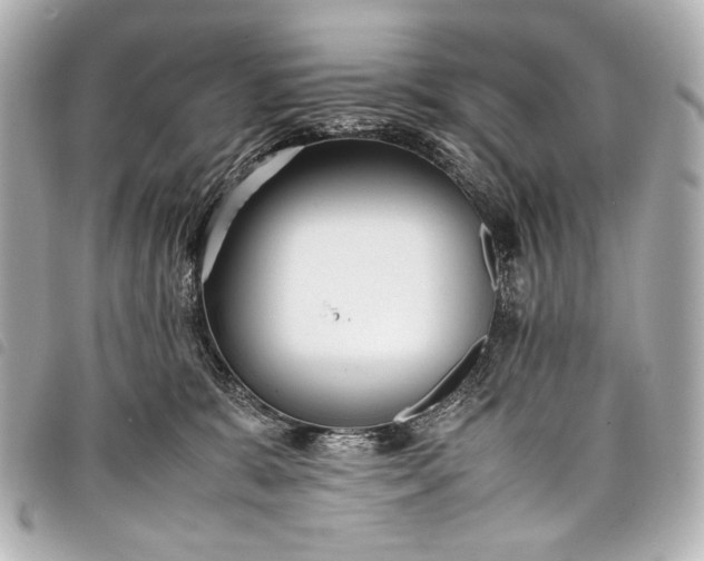 X0000098080327200804181205