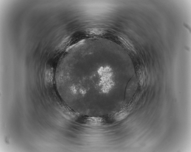 X0000098080328200804181205