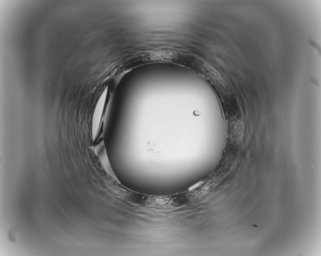 X0000098080329200804181205