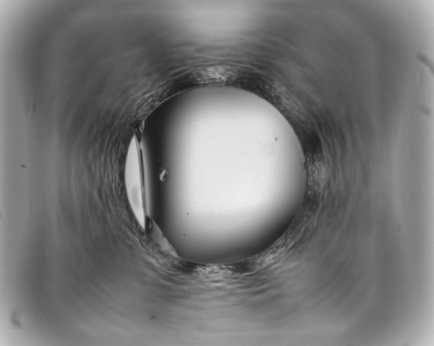 X0000098080331200804181205