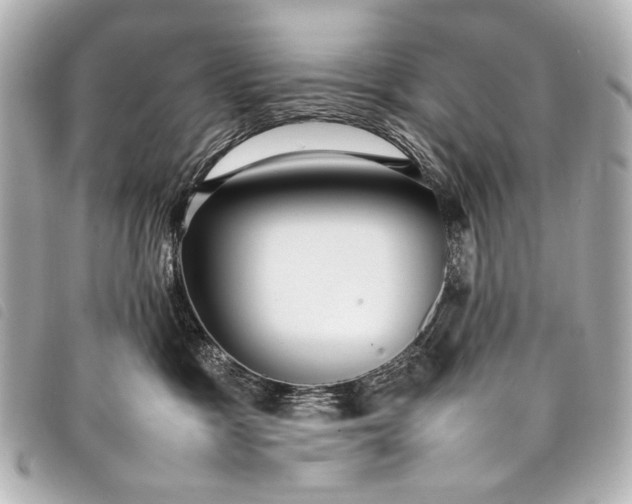 X0000098080333200804181205