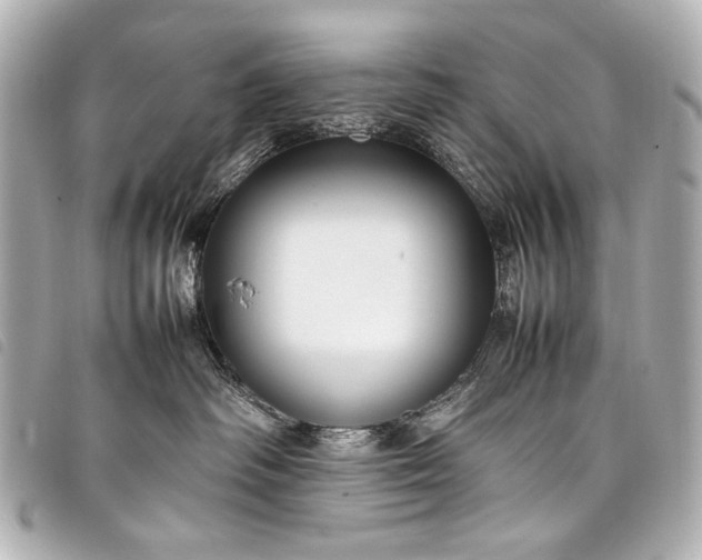 X0000098080334200804181205