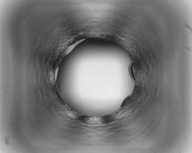 X0000098080335200804181205