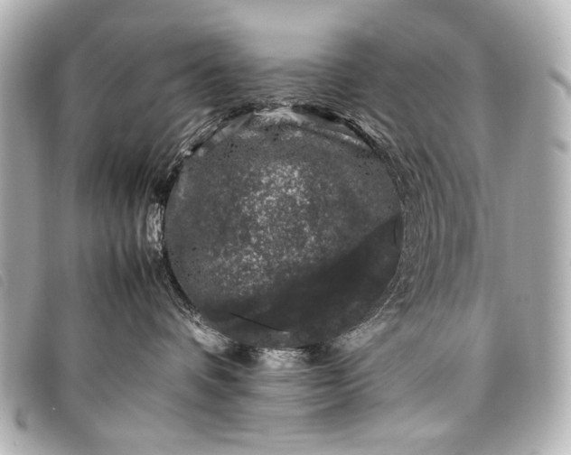 X0000098080336200804181205