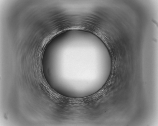 X0000098080337200804181204