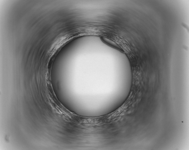 X0000098080338200804181204