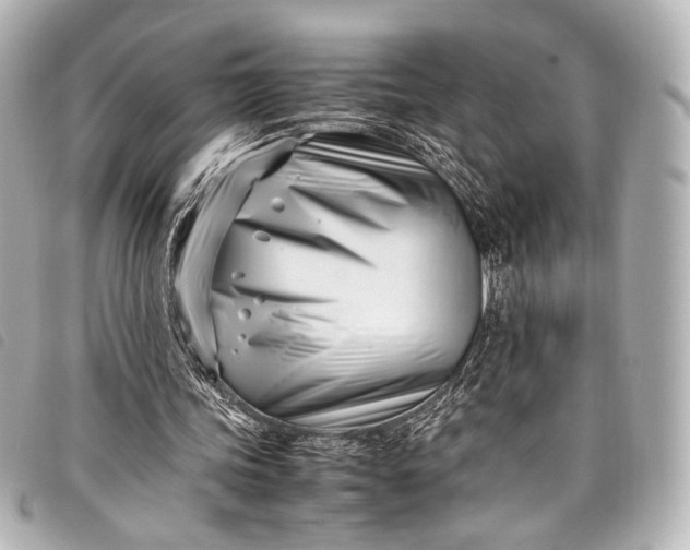 X0000098080339200804181204