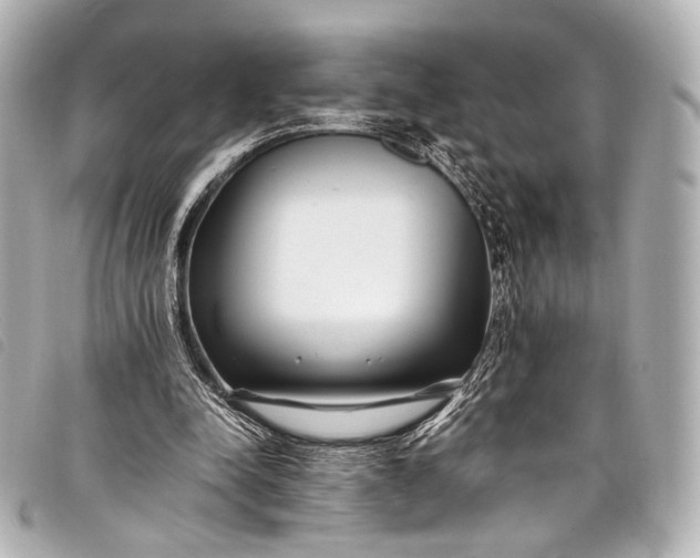 X0000098080342200804181204