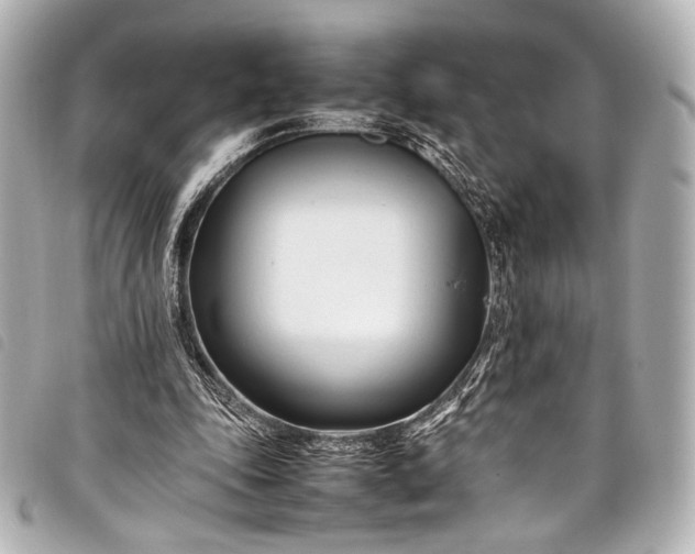 X0000098080343200804181204