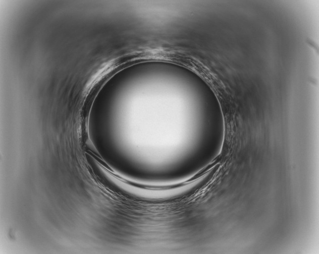 X0000098080344200804181204