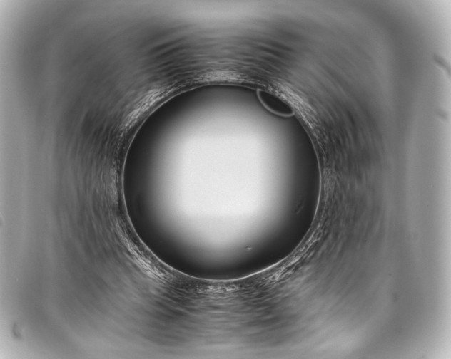 X0000098080345200804181204