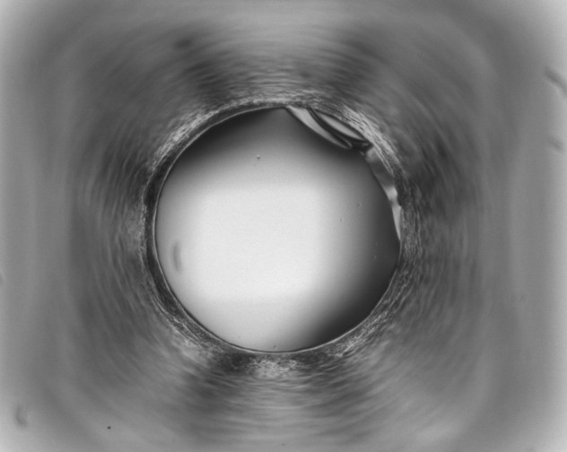 X0000098080346200804181204