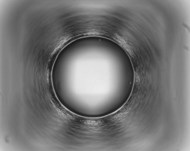 X0000098080347200804181204