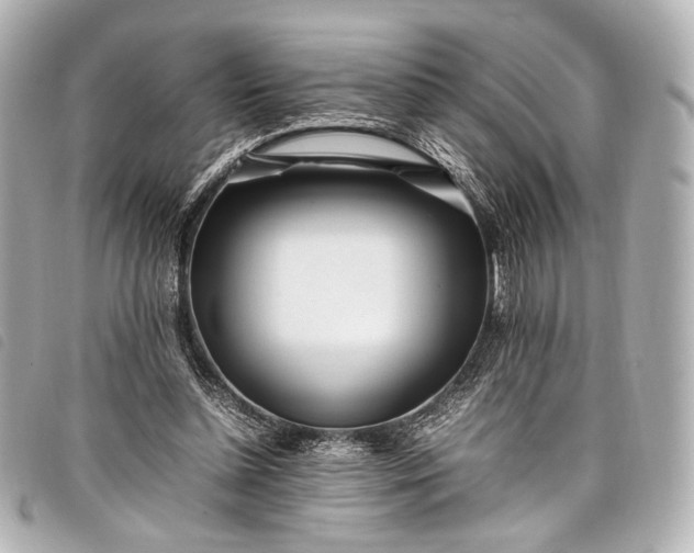 X0000098080348200804181204