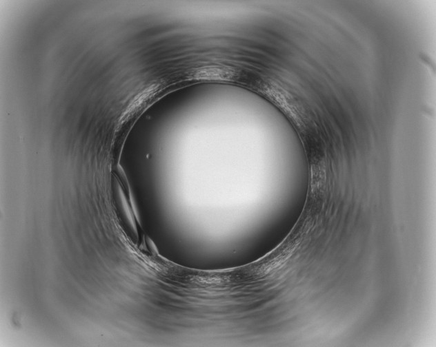 X0000098080349200804181204