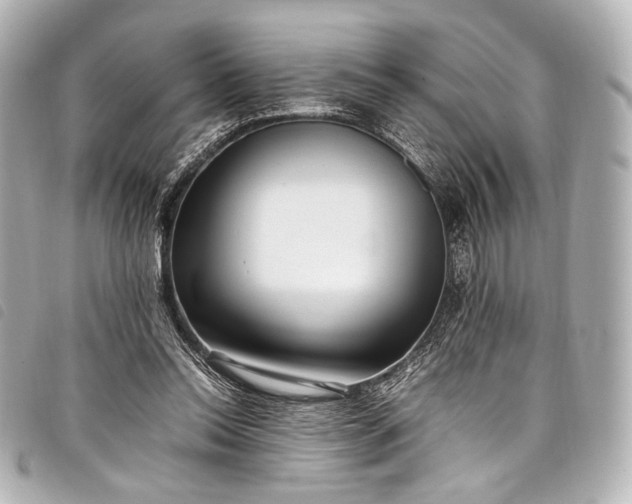 X0000098080350200804181204