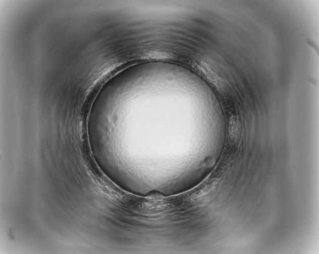 X0000098080351200804181204