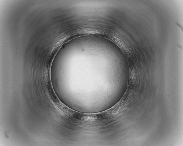 X0000098080352200804181204