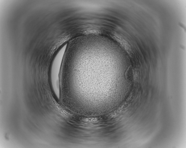 X0000098080353200804181204