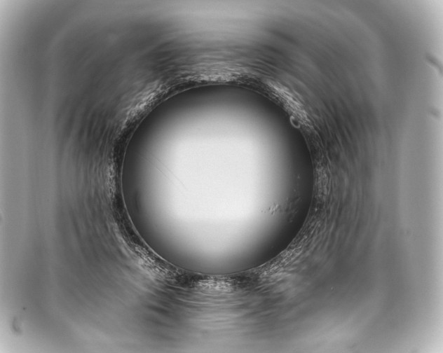 X0000098080354200804181204