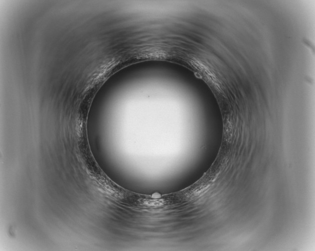 X0000098080355200804181204