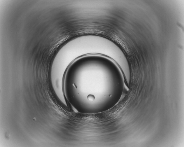 X0000098080356200804181204