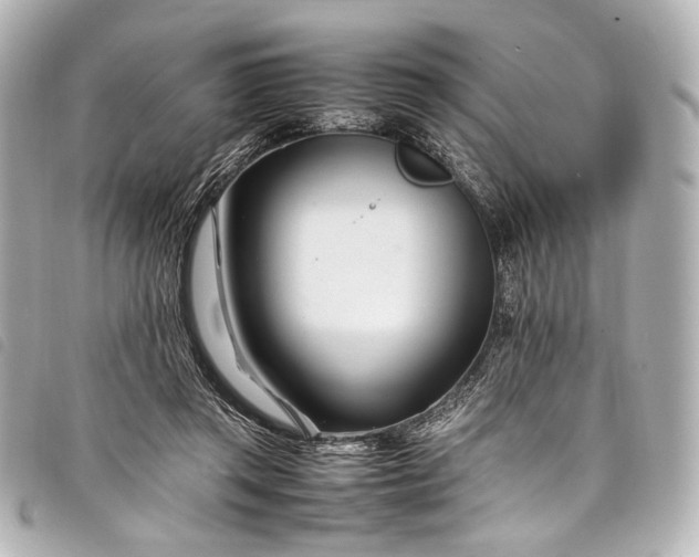 X0000098080357200804181204