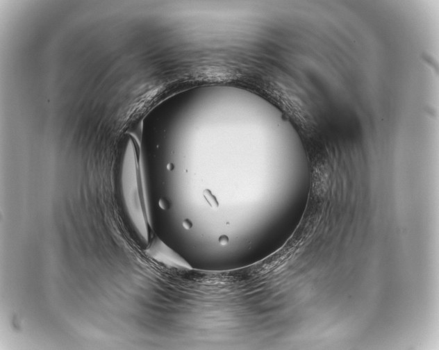 X0000098080358200804181204